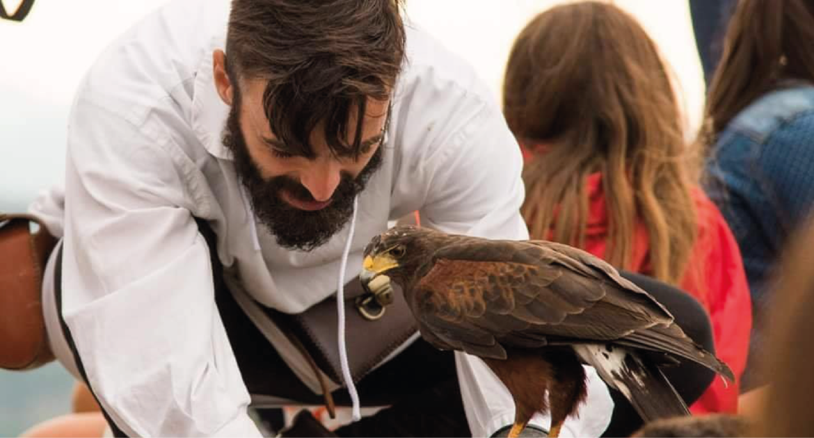 L’incanto alato e L’antica arte della Falconeria